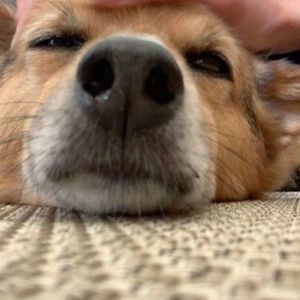 Meet your Posher, Michele